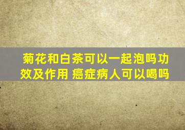 菊花和白茶可以一起泡吗功效及作用 癌症病人可以喝吗